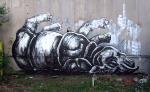 roa_rhinoceros_5