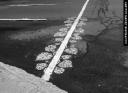 roadsworth2.jpg